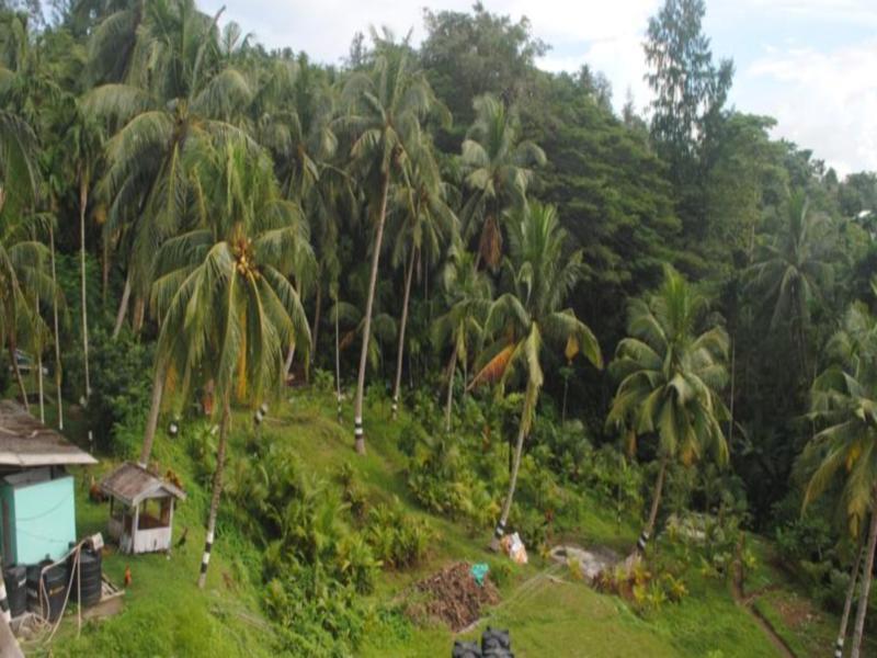 Andaman Galley Boutique Hotel Port Blair Ngoại thất bức ảnh